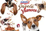 Rádio Europa 2 rozdáva aj psím útulkom vianočnú nádielku